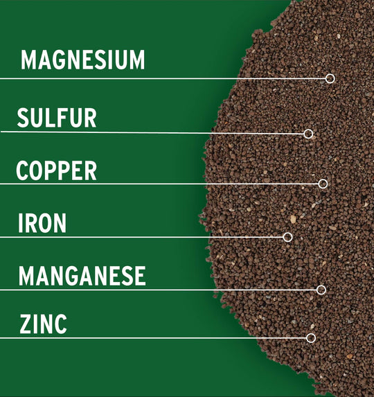 Micronutrient Supplement for Lawns Mg S Cu Fe Mn Zn