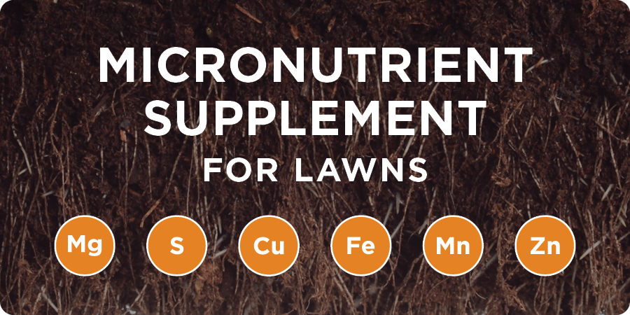 Soil and roots image with nutrient callouts for Mg, S, Cu, Fe, Mn, and Zn.