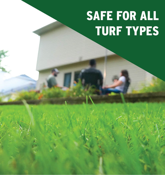 Micronutrient Supplement for Lawns Safe for All Turf Types 