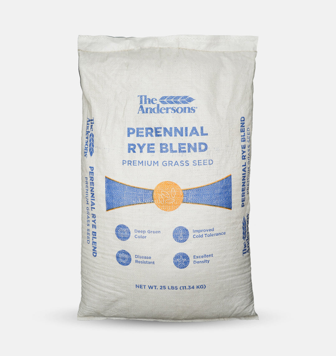 perennial-rye-grass-seed