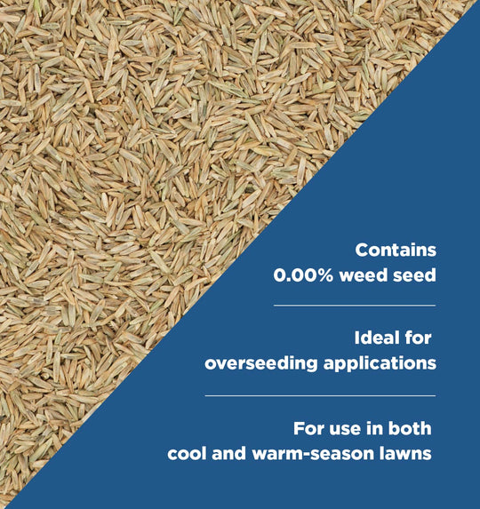 Perennial Rye Blend Grass Seed Callouts