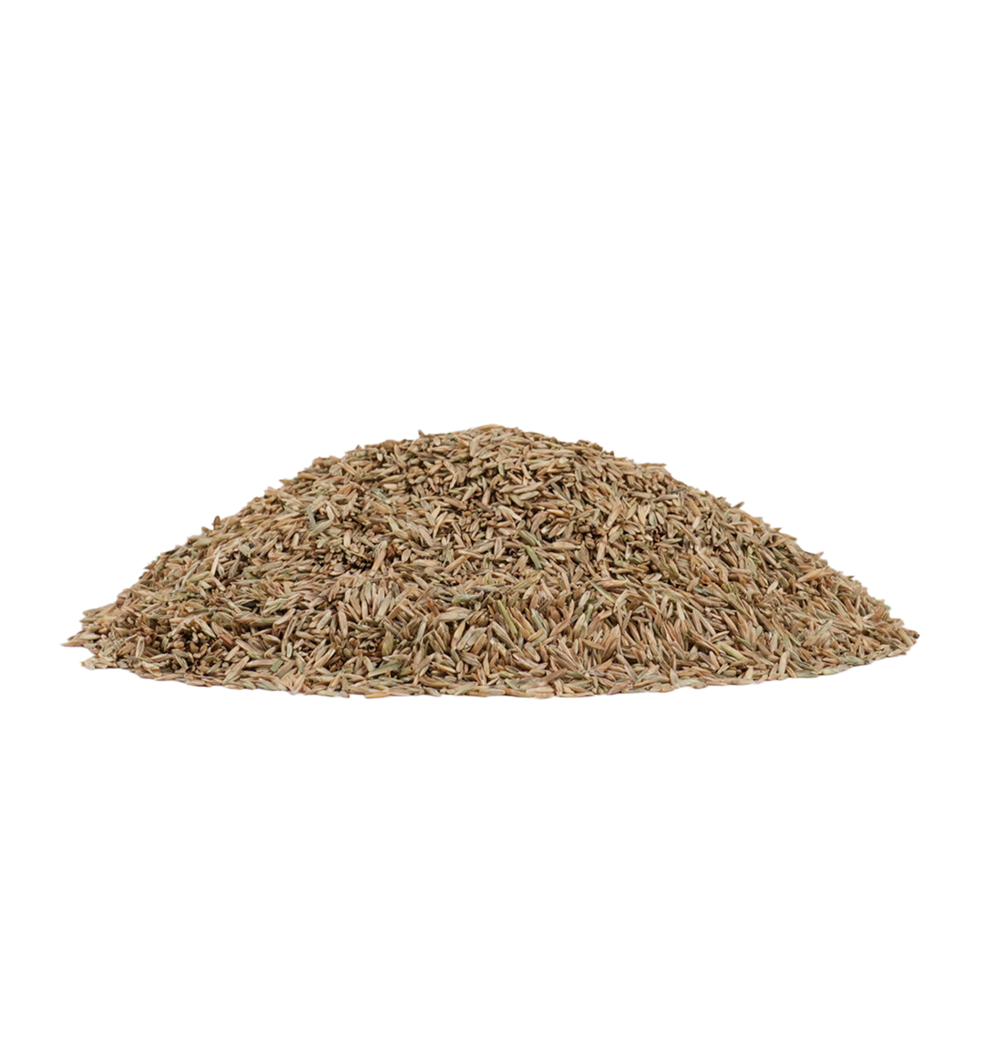 Pile of Perennial Rye Grass Seed