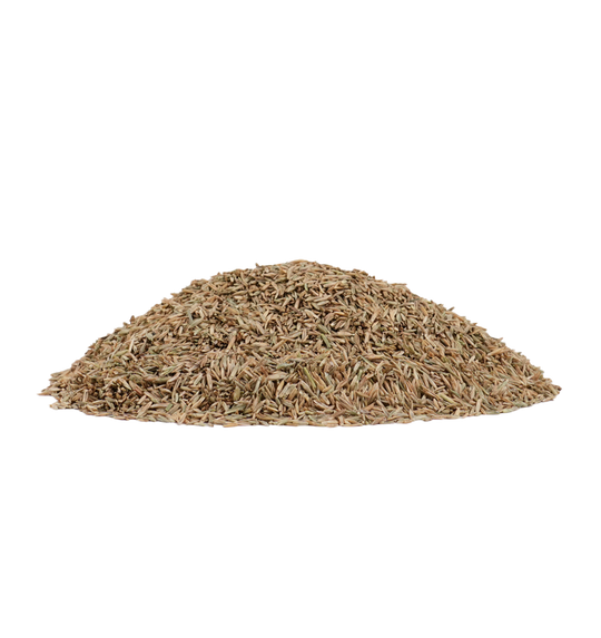 Pile of Perennial Rye Grass Seed