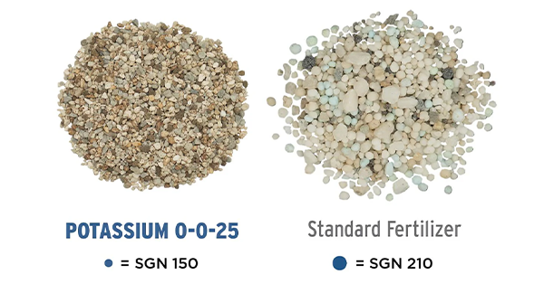 Potassium fertilizer granules beside standard fertilizer granules showing size difference. Potassium Fertilizer is much smaller