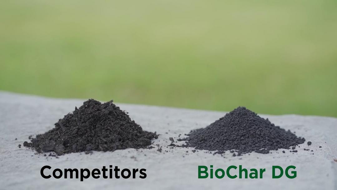 BioChar DG™