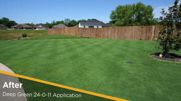 Deep Green 24-0-11 – The Andersons Lawn