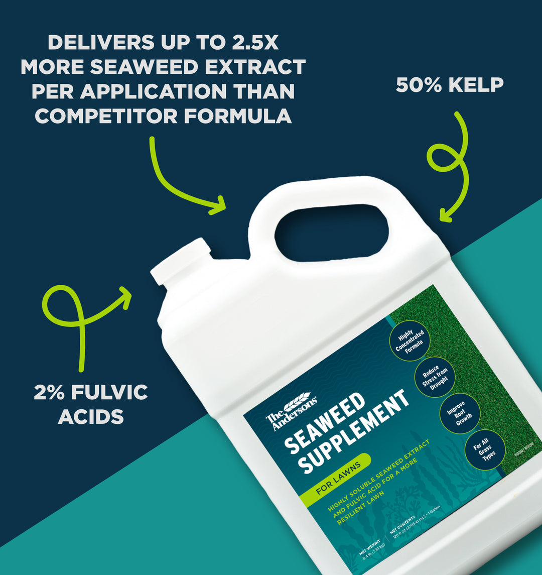 Seaweed Supplement