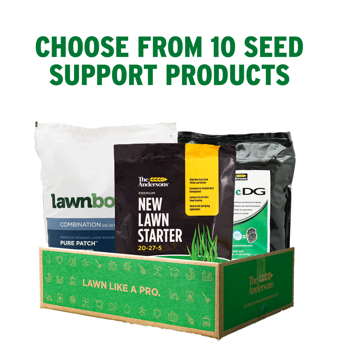 Bundle of seed support