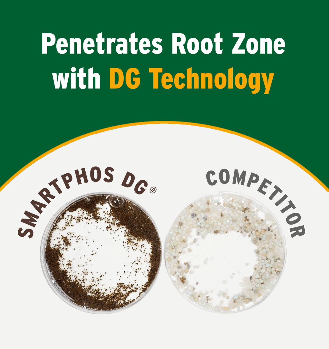 SmartPhos DG® 4-22-0