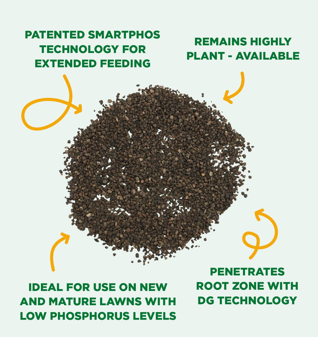 low phosphorus plant fertilizer SmartPhos DG® 4-22-0 – Andersons Lawn