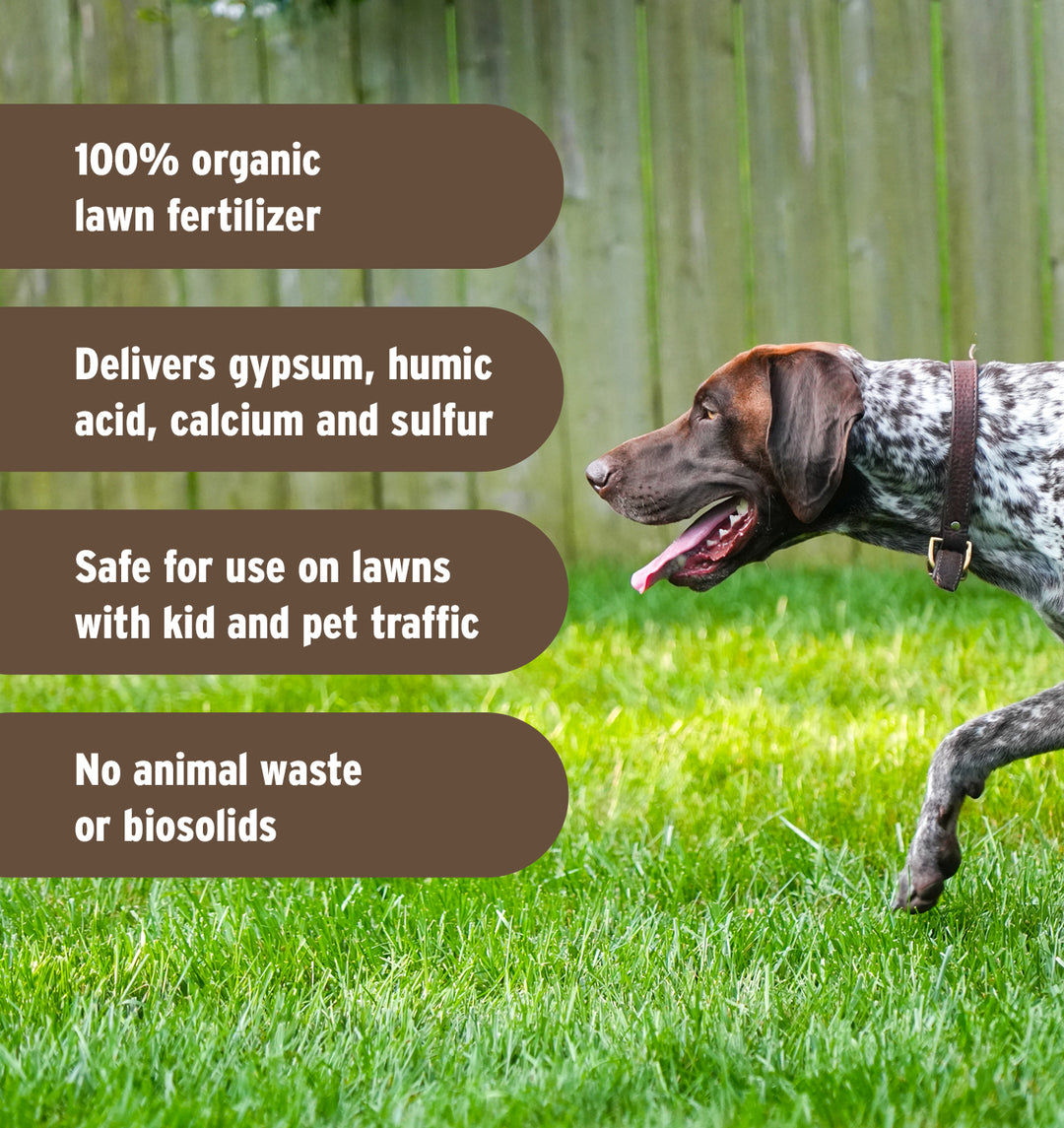 Lawnbox® Soil Saver®