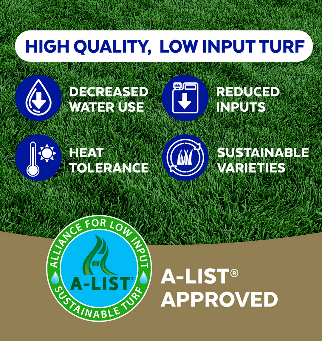 kentucky bluegrass seed planting instructions Stadium Mix Kentucky Bluegrass – Andersons Lawn