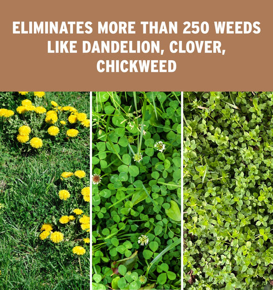 Surge Weed and Feed 16-0-9 Weeds Callout