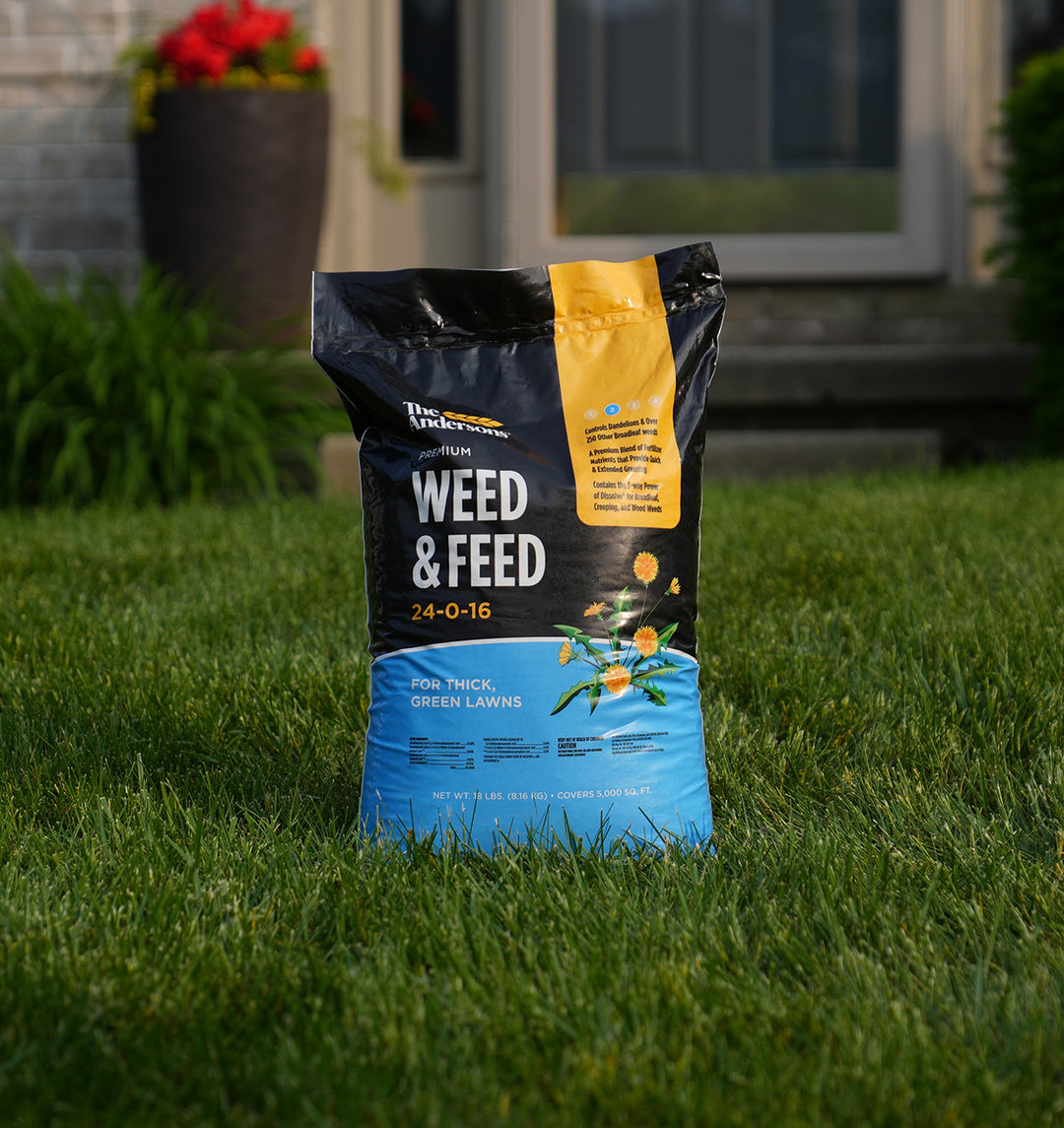 wisconsin fast plants fertilizer Weed & Feed 24-0-16 – Andersons Lawn